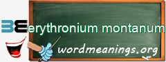 WordMeaning blackboard for erythronium montanum